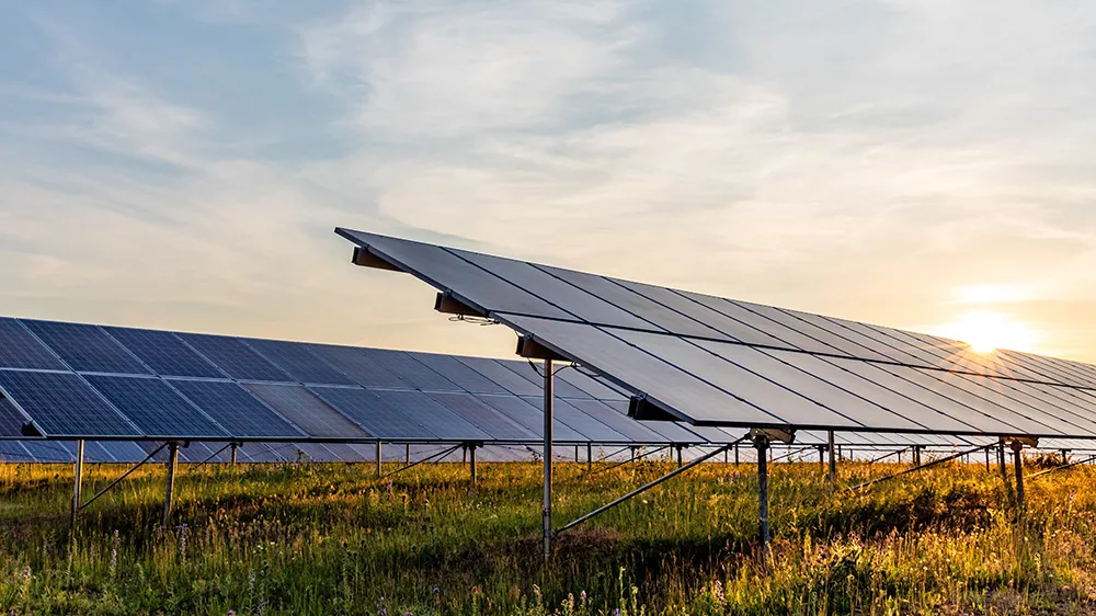 open field photovoltaic system with sunset in the background